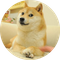 The Doge NFT